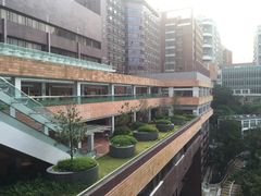 -香港大学