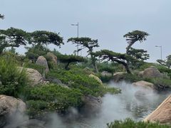 -罗红摄影艺术馆