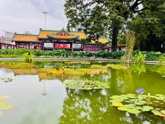 -莲花池公园
