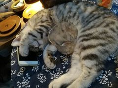 -老屋咖啡