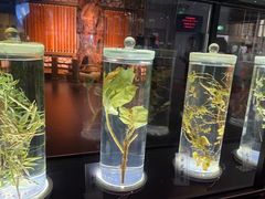 -广东中医药博物馆