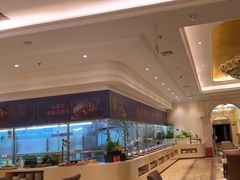 -锦粤宫·精致粤菜(深圳北站店)