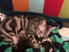 -乖乖乐动物医院(小汤山分院)