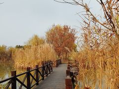 -梁鸿国家湿地公园