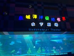 -泉城欧乐堡海洋极地世界
