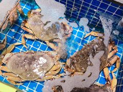 -虾佬圣汤·海鲜姿造(乐堤港店)