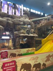 -卡通尼·Safari非洲探索乐园·生日会(金桥国际商业广场店)