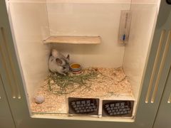 -龙猫仔乐园(惠福东路店)