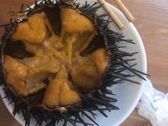 -海胆小馆(东北水饺·春柳店)