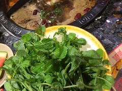 -蜀大侠火锅(森兰花园城店)