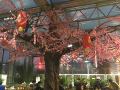 -老磨油饼(高陵店)