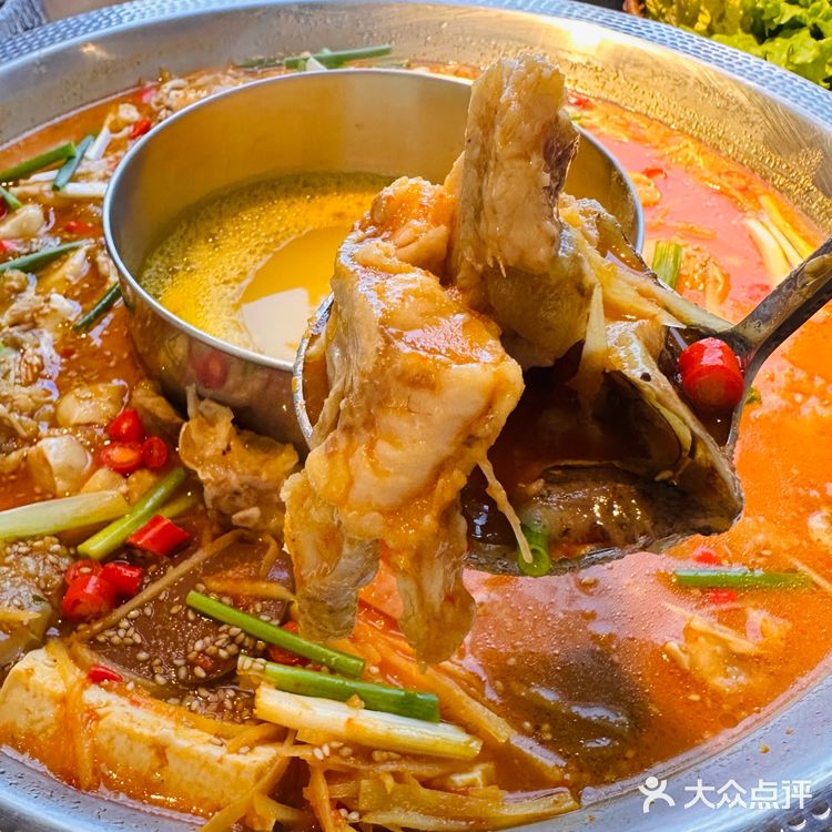 跟我一起“嚯嚯”🐟