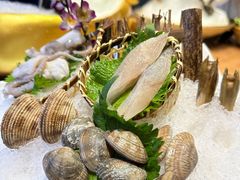 -尚海豆捞(乐虹坊店)