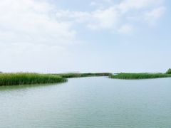 -苏州太湖湖滨国家湿地公园