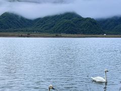 -大九湖