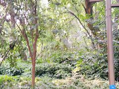 -杭州半山国家森林公园