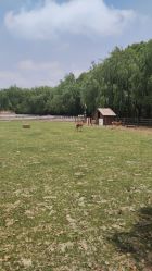 -BabyA 专业婴童摄影(古北时尚广场店)