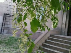 android_upload_pic-辽宁大学(崇山校区)