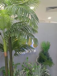 -八佰伴8008星级形象店