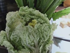 -猫姑娘大盘鸡(商城路店)