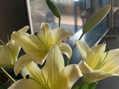 -BOBLOOM花店(宝龙旭辉广场店)