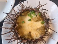 -连鹭海鲜·海肠捞饭·海胆饭(星海店)