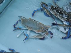 -三亚海韵度假酒店·渔人码头海鲜火锅BBQ自助餐厅·落日吧