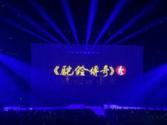 -《驼铃传奇》秀