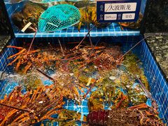 -海月轩海鲜豆捞(紫金塔店)