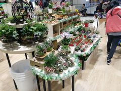 -AEON永旺(东方宝泰店)