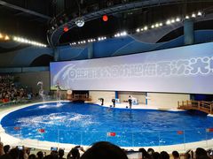 -渡海小渔村.老辈日照菜