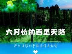 -百里天路