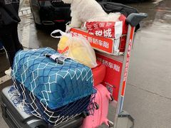 -太原武宿国际机场