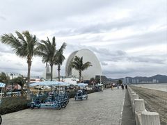 -野狸岛
