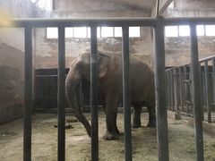 -石家庄市动物园