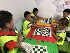 -常青藤国际象棋(新奥店)