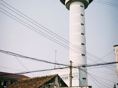 -芦潮港集贸市场