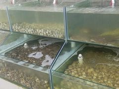 -海岸风情蒸汽海鲜自助餐厅(家宴金手勺店)