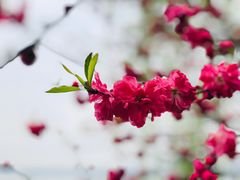 -苏堤停车场
