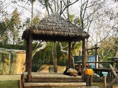 -上海野生动物园
