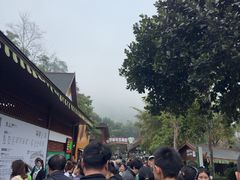 -野象谷景区