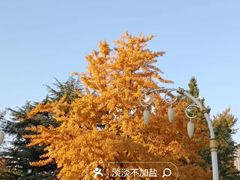 -大连人民广场