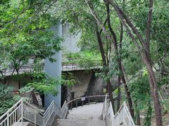 -白水寺森林公园