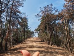 -青龙山国家森林公园