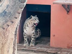 -青藏高原野生动物园