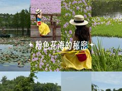 -白鹭湾湿地公园
