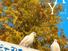 -成都华侨城欢乐里