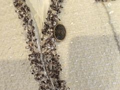 -易改衣·专业衣物奢护中心(凯德Luone店)