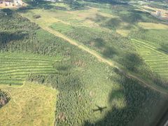 -谢列梅捷沃国际机场