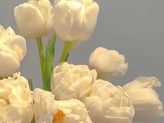 -书亦烧仙草(长沙医学院店)